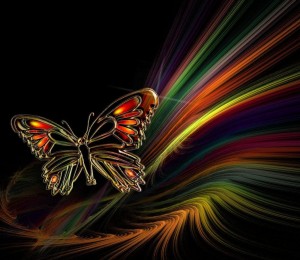 butterfliesofballybeg